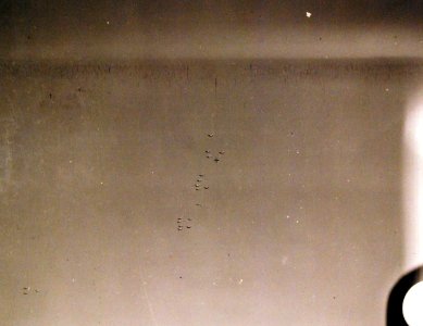 80-G-32223 (26475937434)