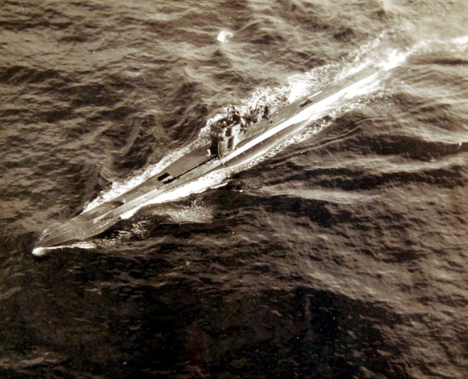 80-G-320285 (36010595755)