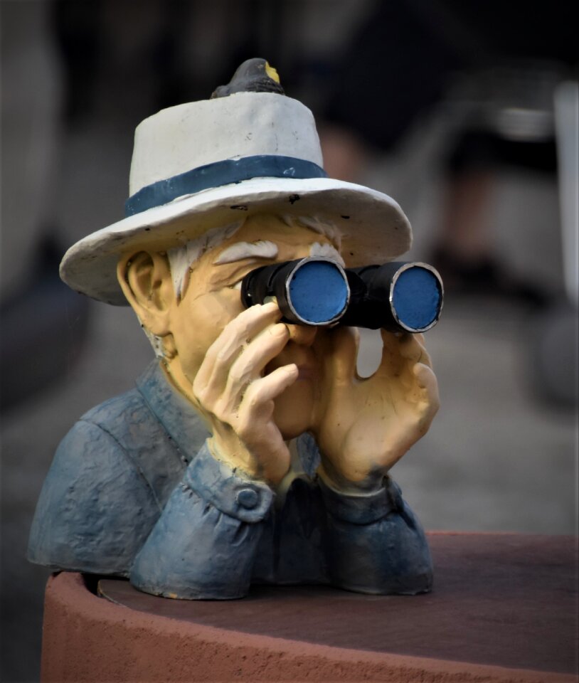Neighbor observation binoculars