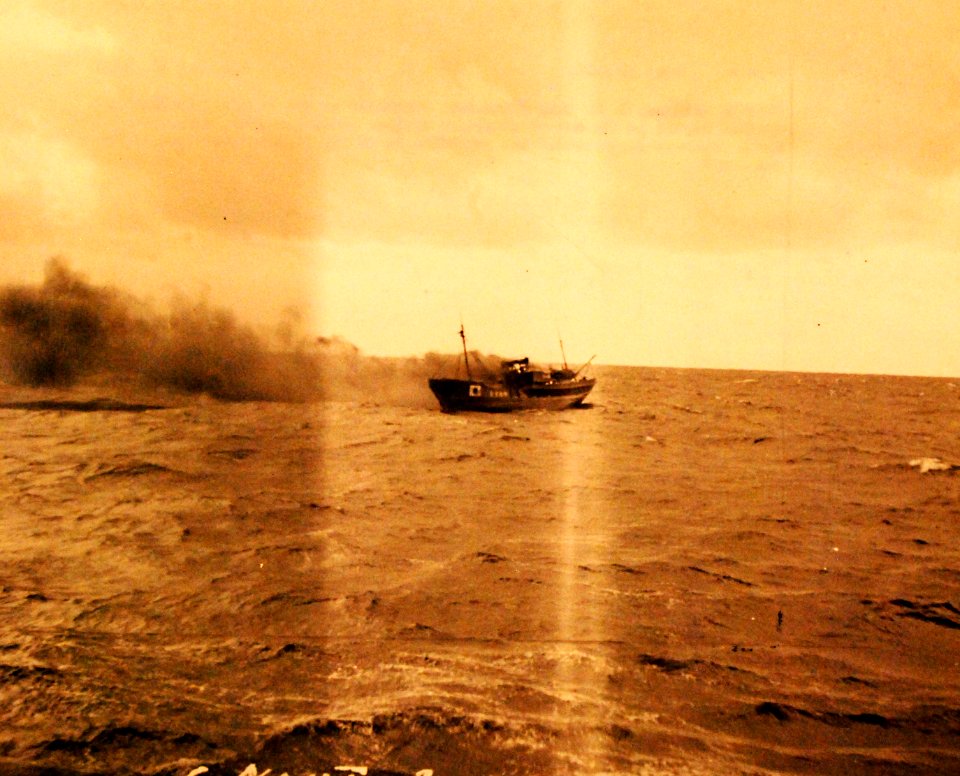80-G-33295 (30817776193)