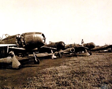 80-G-347811 (23301569965)