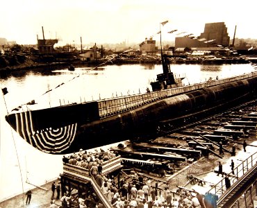 80-G-409535 (36312048071)