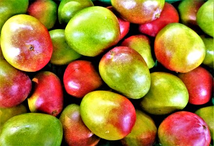 Juicy in good health freshness