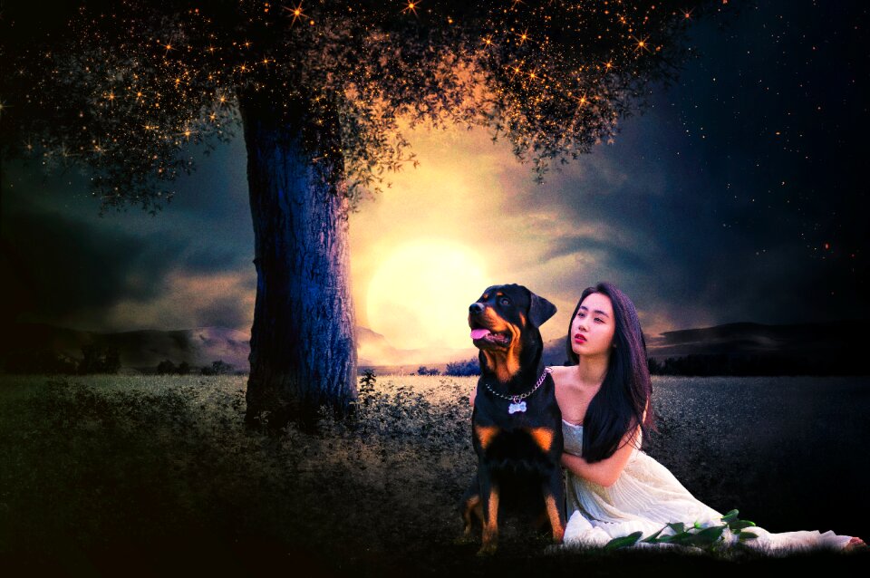 Night beautiful scene