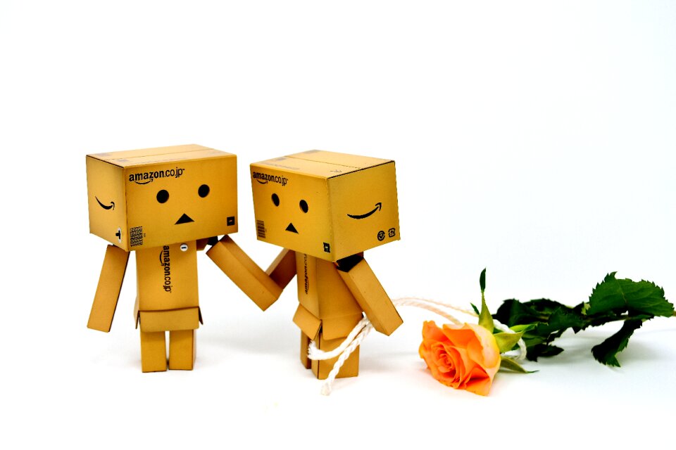 Roses flowers valentine's day