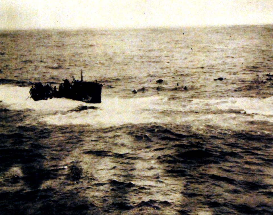 80-G-49786 (32116727371)
