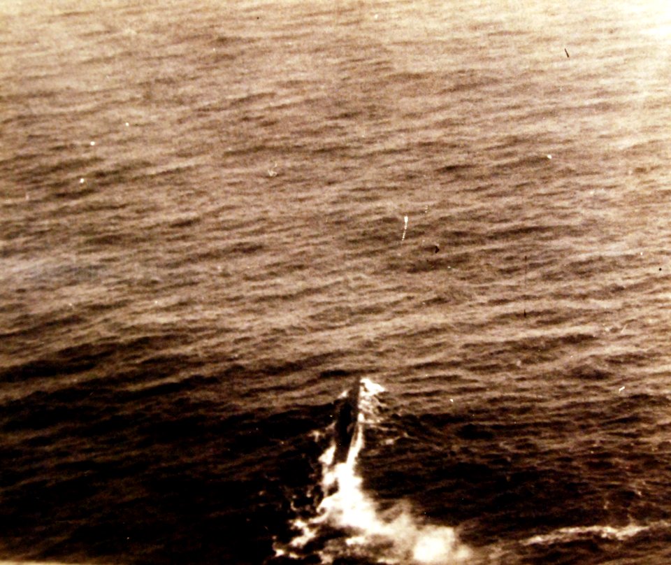 80-G-67389 (25055544839)