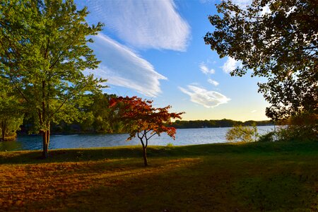 Autumn sky nature