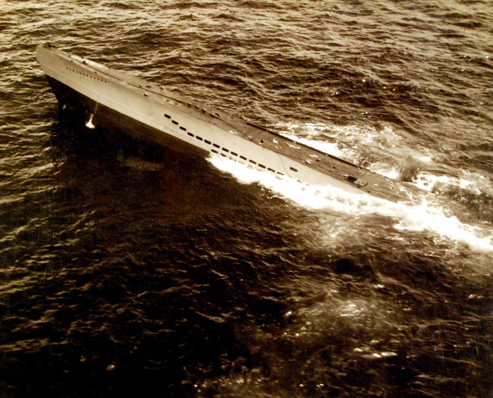 80-G-79392 (20679102486)