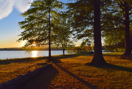 Autumn light sunlight photo