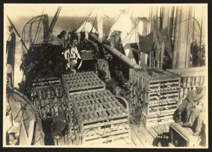 803rd Pioneer Infantry Battalion on the U.S.S. Philippine (troop ship) from Brest harbor, France, July 18, 1919). no. 29 LCCN2010651612
