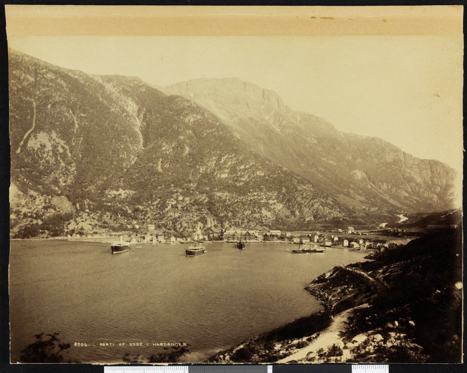 8006 Parti af Odde i Hardanger - no-nb digifoto 20160405 00124 bldsa L KK0306