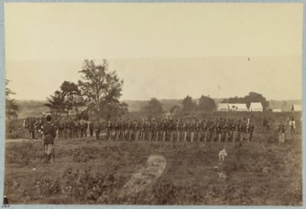 8th U.S. Infantry at Headquarters Army of Potomac near Fairfax Court House, Va., June, 1863 LCCN2013648640