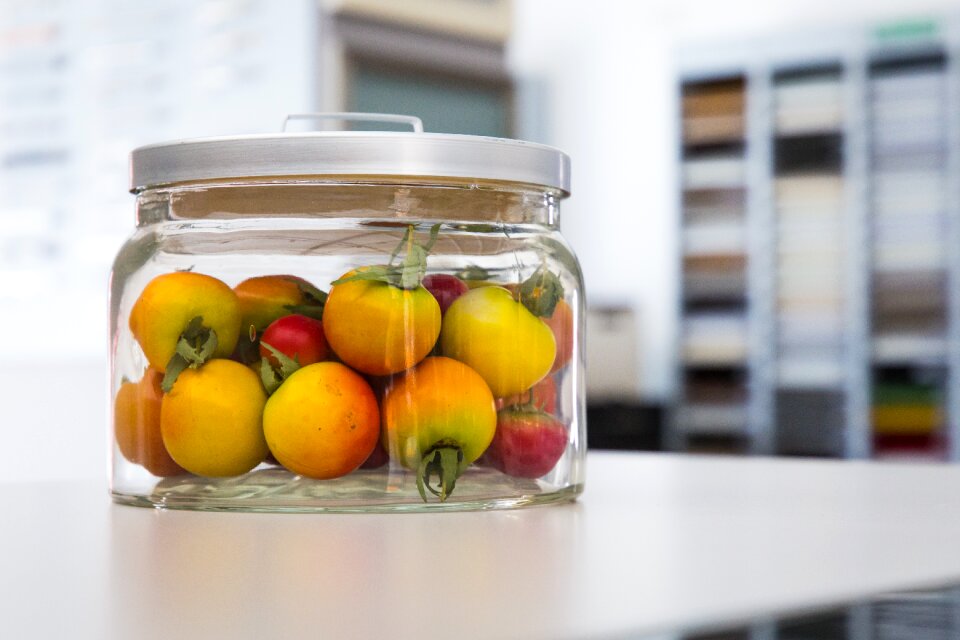 Art still life transparent