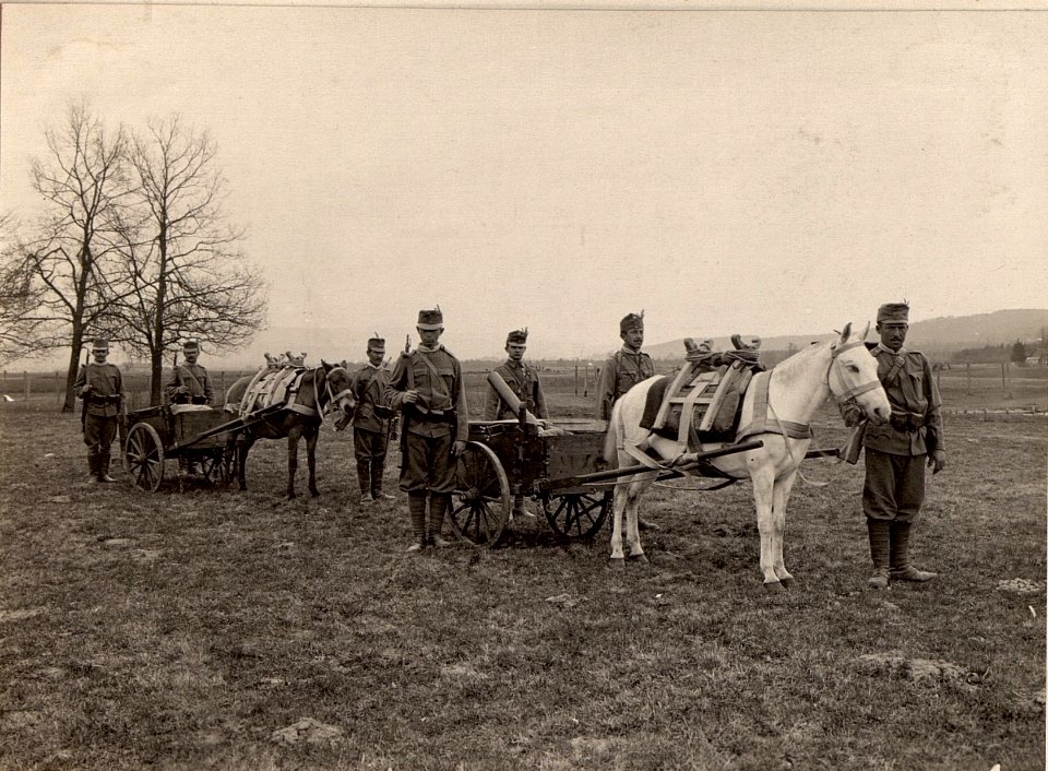 9 cm M.14 Mirenwerferkarren und Minenwerfer Munitionskarren eines technischen Infanterie Zuges, aufgenommen am 9.IV.1916 (BildID 15473276)