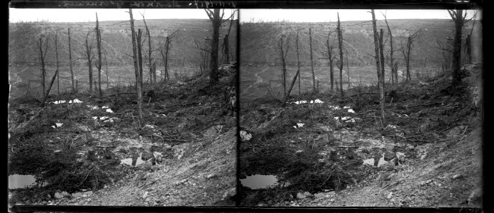 9-11-17. Ravin des Gobineaux - Fonds Berthelé - 49Fi1239
