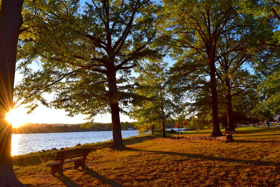 Autumn light sunlight