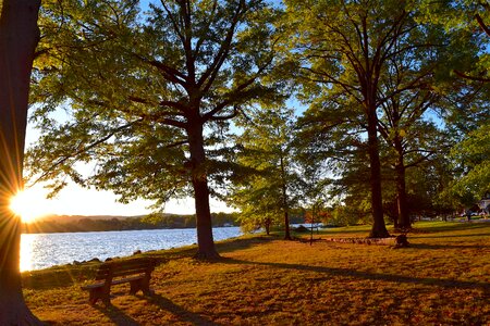 Autumn light sunlight photo