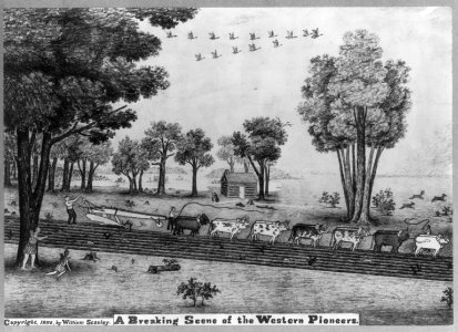 A Breaking Scene of the Western Pioneers LCCN2006675658