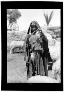 A Bedouin shepherdess of Sharon. Spinning yarn as she goes LOC matpc.15654 photo
