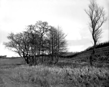 A bit of detatched covert on the Derwent YORYM-S407