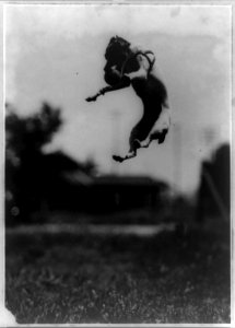 A canine highjumper LCCN96502974