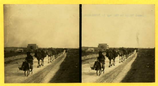 A camel train on the way to Bethlehem LCCN2004672897