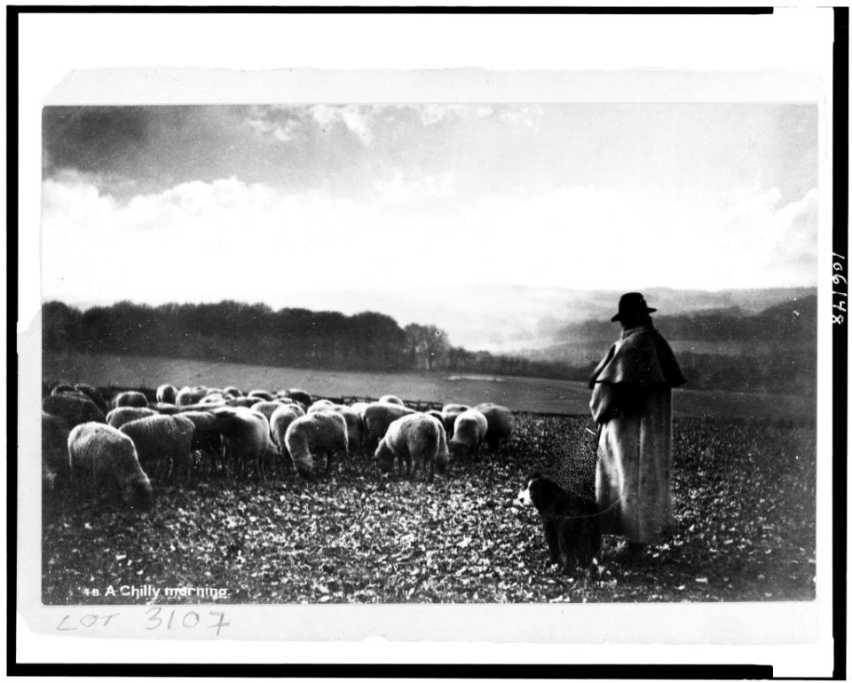 A Chilly morning LCCN92515570