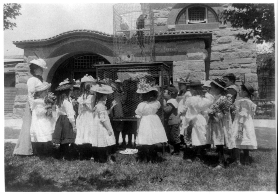 A class at the zoo - the bird cage LCCN2001702336