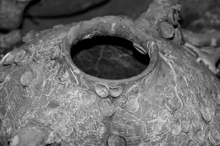 Mediterranean relic archaeology