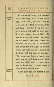 A Double-Barrelled Detective Story, p. 016