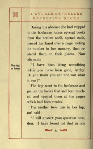 A Double-Barrelled Detective Story, p. 014