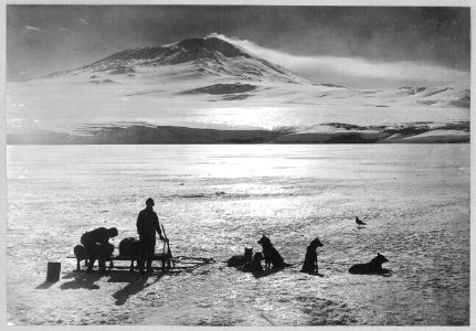 A dog-sledge team with Erebus in the background RMG E0870 photo