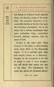 A Double-Barrelled Detective Story, p. 054