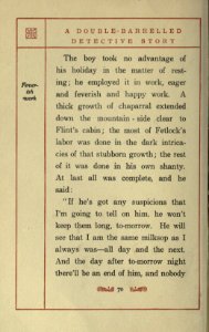 A Double-Barrelled Detective Story, p. 070