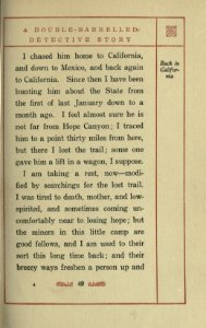 A Double-Barrelled Detective Story, p. 049