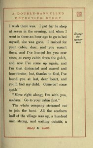 A Double-Barrelled Detective Story, p. 081