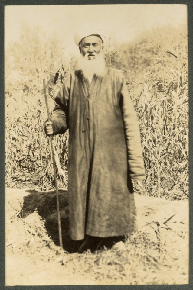 A Dulani Beg of Merkit