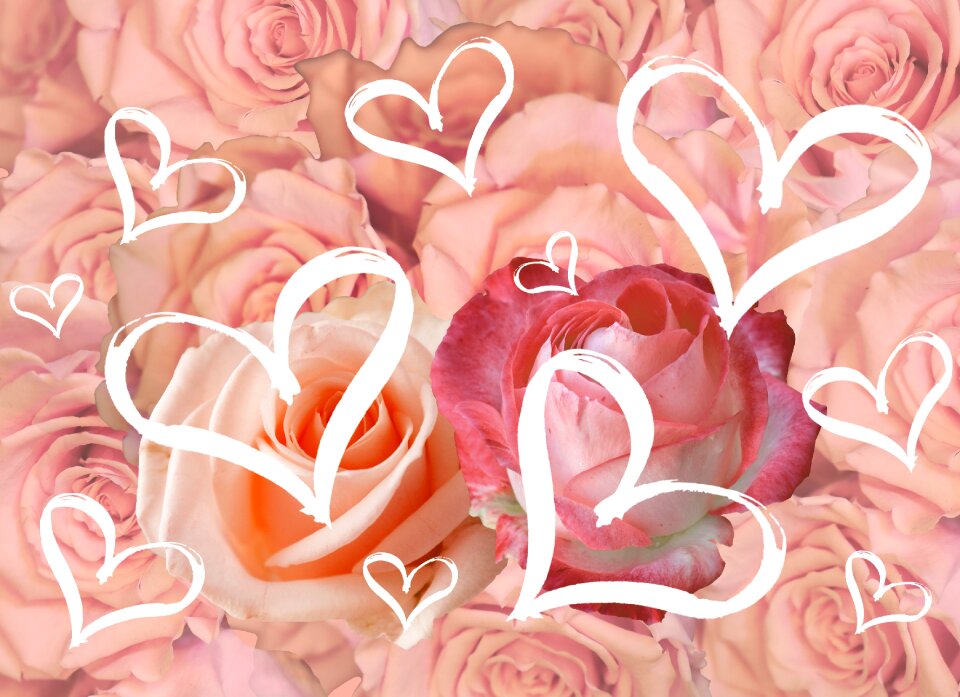 Love valentine 14 february