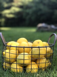 Citrus healthy vitamin photo