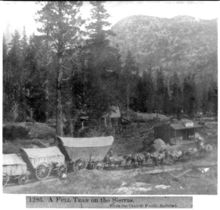 A full team on the Sierras - From the Central Pacific Railroad LCCN2002723142