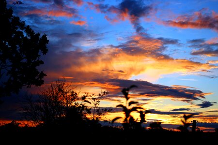 Panoramic twilight nature