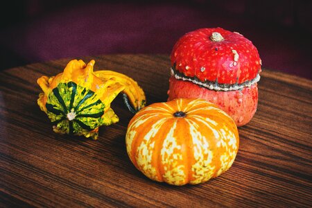 Pumpkin pumpkins table photo