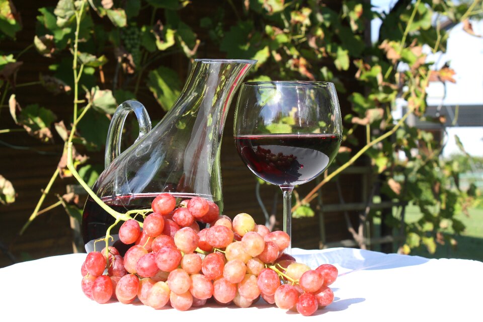 Climber plant red wine carafe