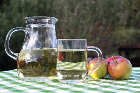 Glass food apple cider
