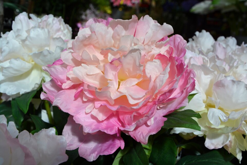 Pink decoration floral
