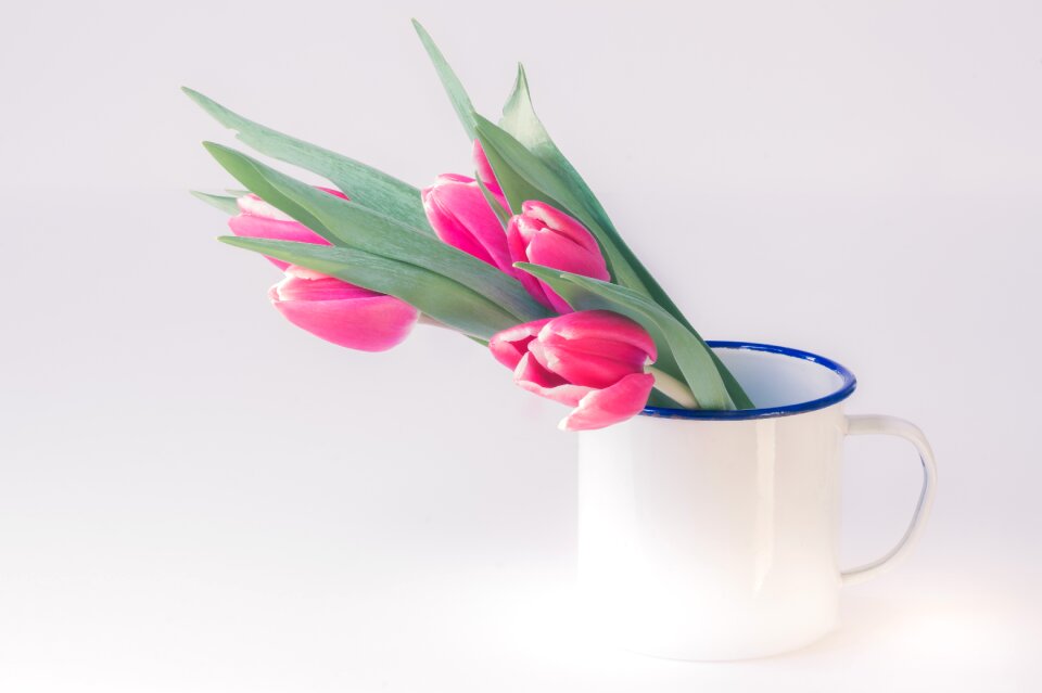 Sheet isolated flowers