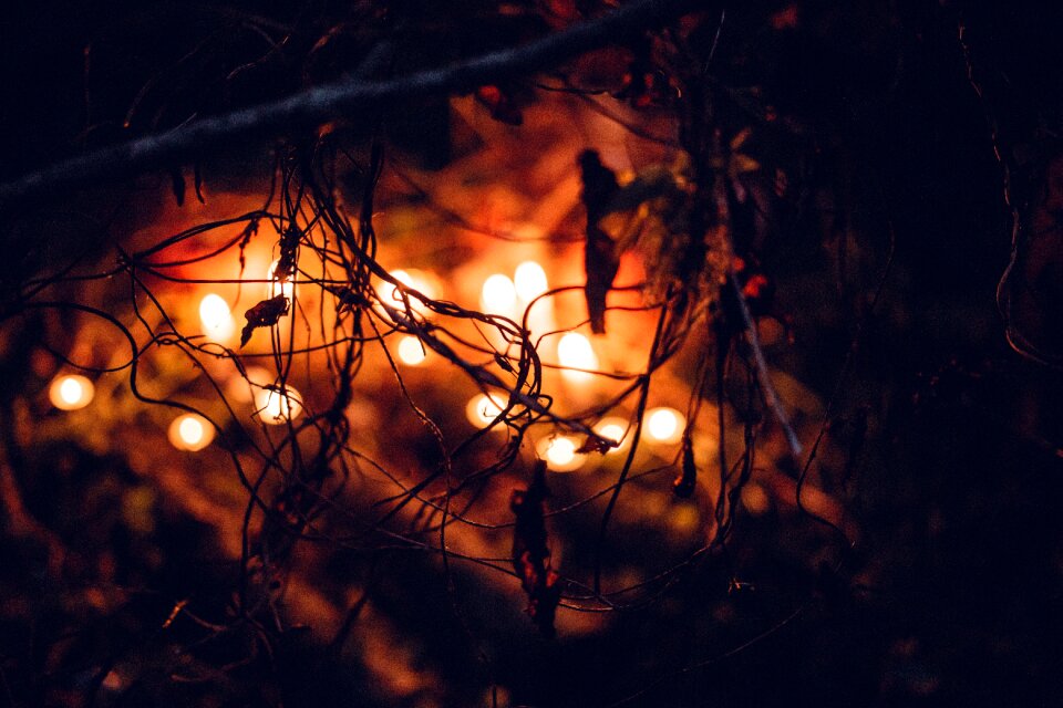 Blurred candle candles