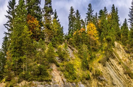 Autumn color beautiful