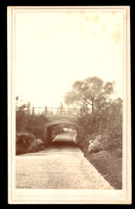 Archway and footpath, Central Park, New York City, New York) - Stacy 691 B'way LCCN2016653316
